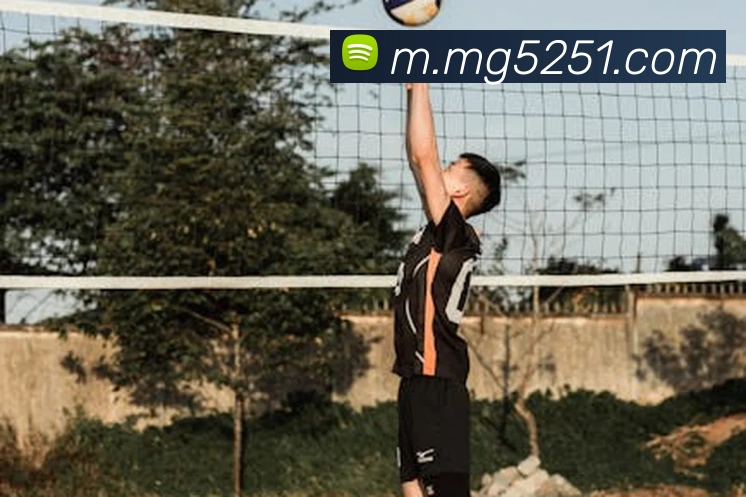 MG娱乐平台官网发展历程